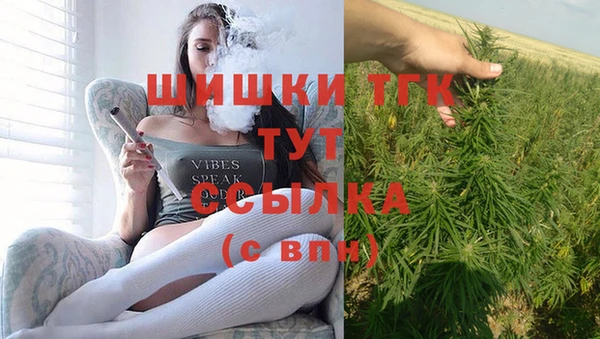МДПВ Протвино
