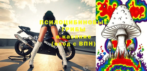 дурь Рославль