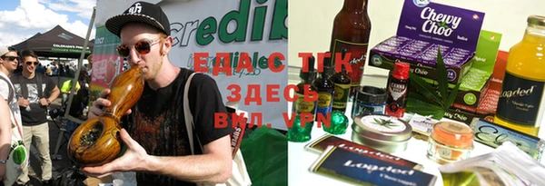 спайс Губаха