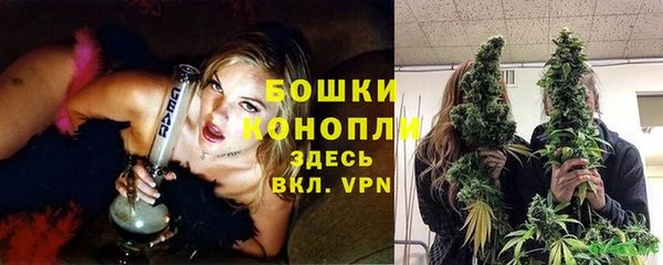 МДПВ Протвино